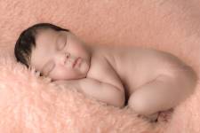 Mégane GEHANT - Mégane Gehant - Photographe