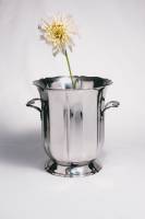 Rémy GOLINELLI - ABSOLT