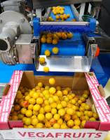 Julien SESIA - Julien-Sésia-Photographie©